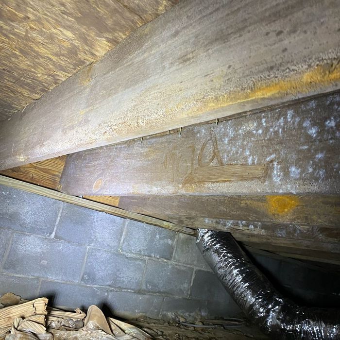 Process of Mold Removal (3).jpg