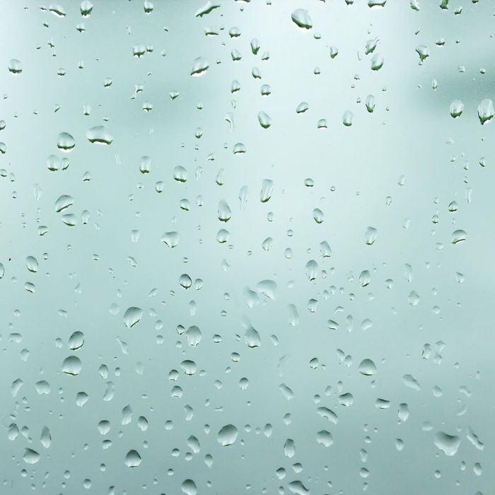 GACrawl Space Encapsulation vs. Dehumidifier2.jpg