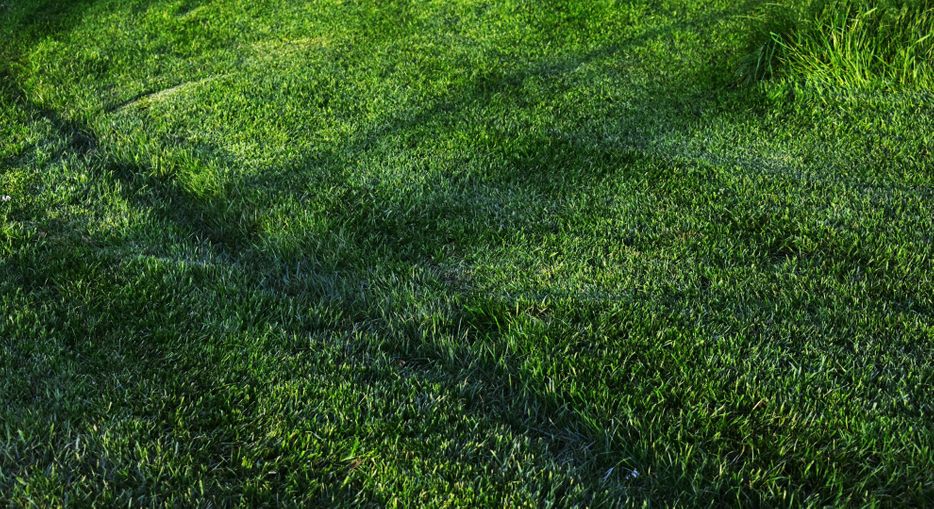 Is It Time for a French Drain_ Spot the Signs Early.jpg