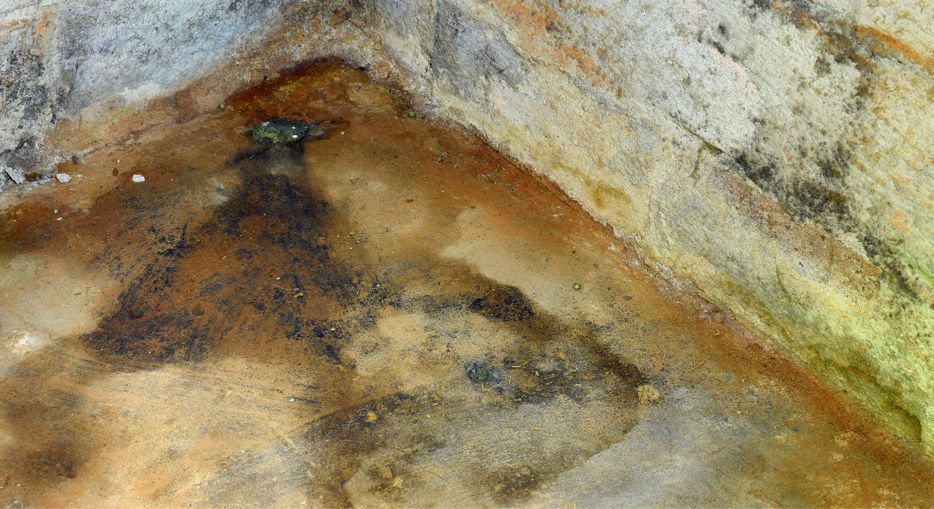 _Process of Mold Removal hero.jpg