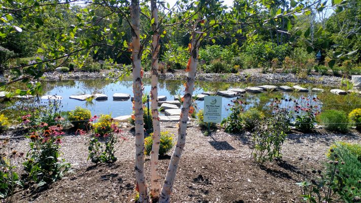 fw park bio filter.jpg