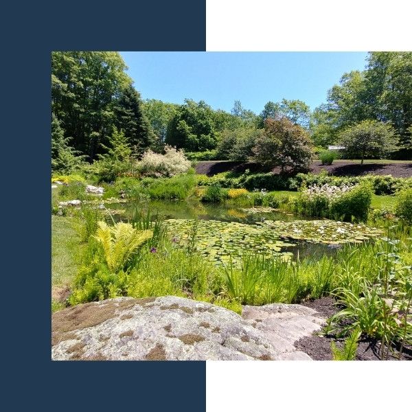 RV - Pond Cleaning - Image 1.jpg