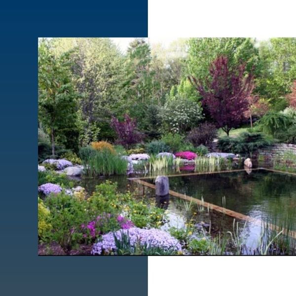 Natural swimming pool with lots of trees and nature surrounding it