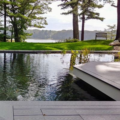 RV - Home - CTA - DIY Natural Swimming Pool Kits.jpg