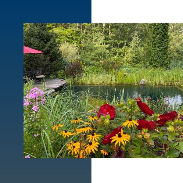 Natural swimming pool enclosed by flowers and tall grass