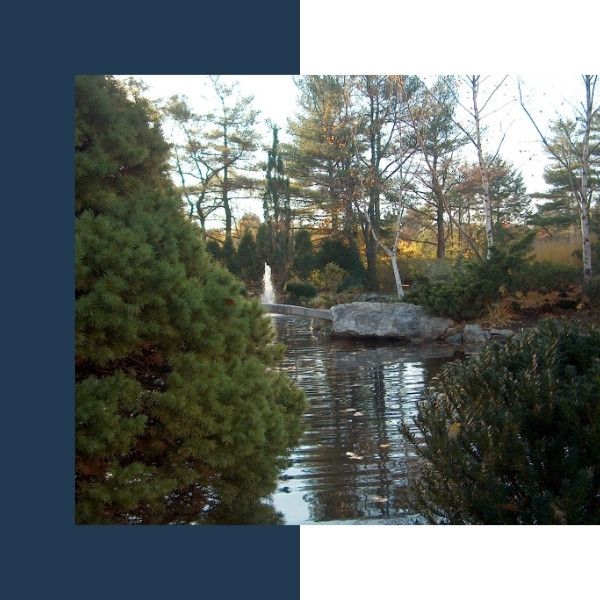 RV - Garden Swim Ponds - Kits - Image 1.jpg