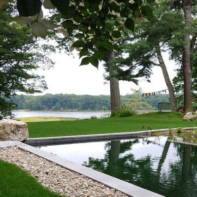 RV - Home - CTA - Natural Swimming Pools.jpg