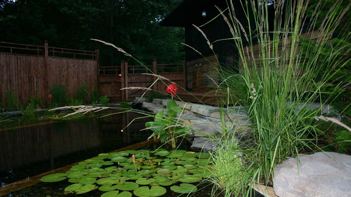 Garden swim pond