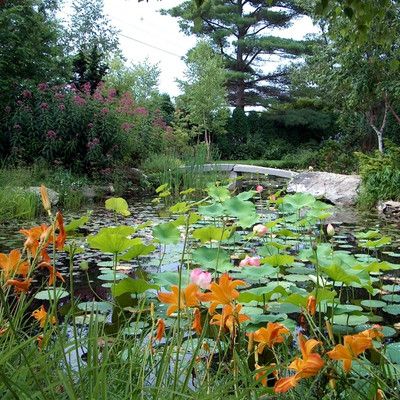 RV - Home - CTA - Garden Swimming Ponds.jpg