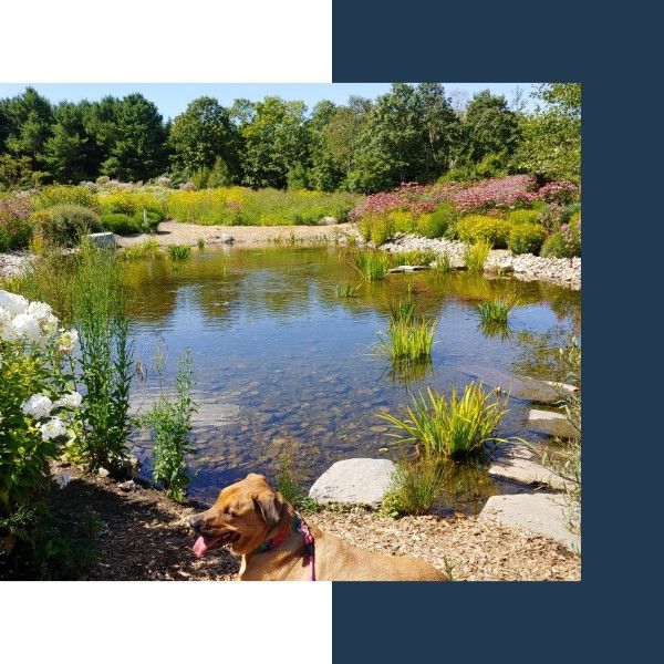 RV - Garden Swim Ponds - Kits - Image 2.jpg