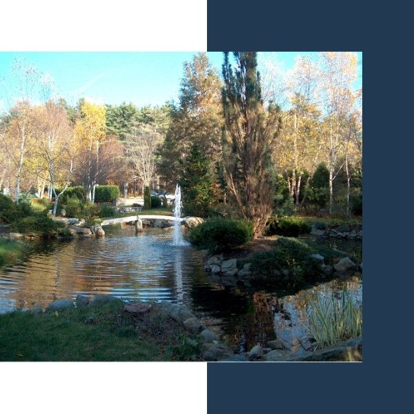 RV - Pond Cleaning - Image 2.jpg
