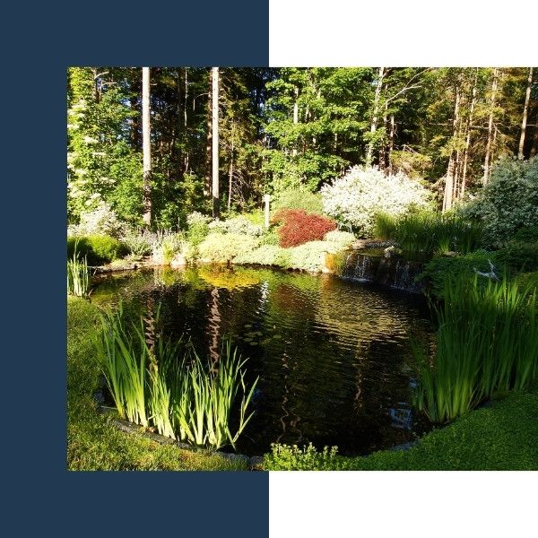 RV - Home - Image 1.jpg