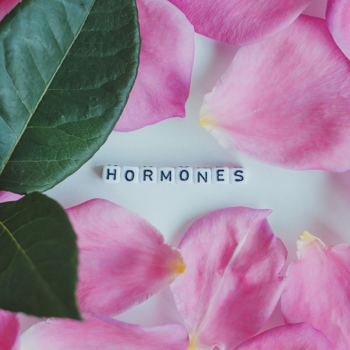 BHRT Mimics Your Own Hormones.jpg