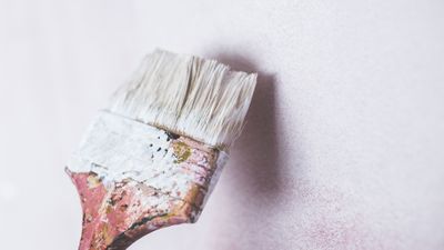 Paintbrush painting a white wall