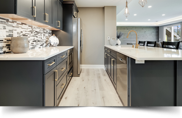 Remodeling 1 in text image.png
