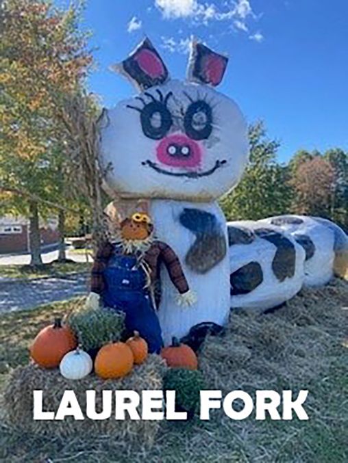 Laurel Fork 2.jpg