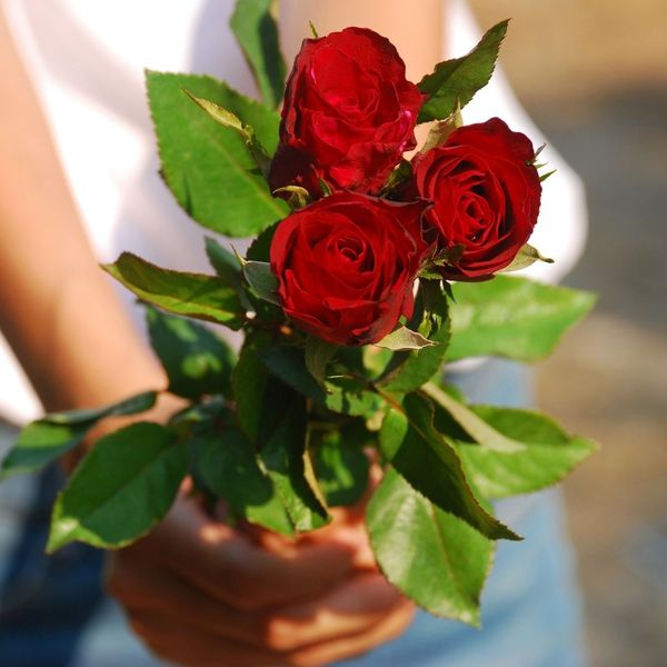 Person holding red roses
