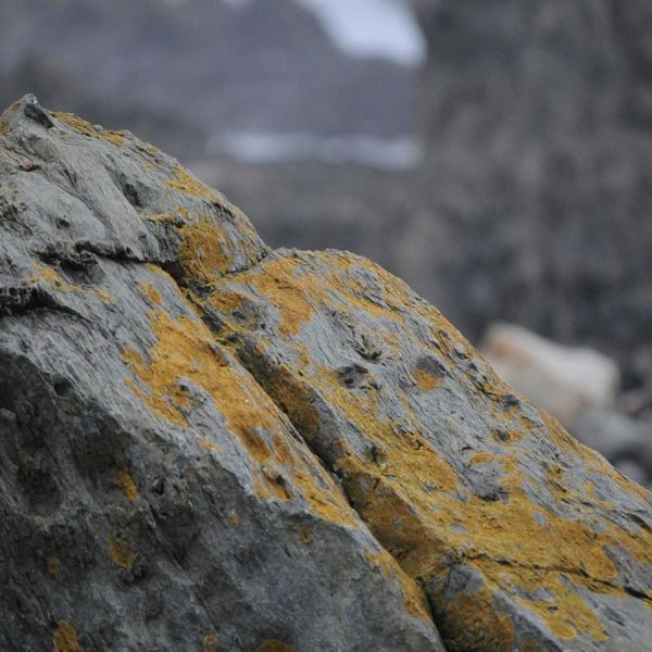 Water Features - IMG 2.jpg