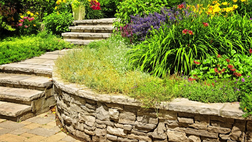 Retaining wall and landscaped steps
