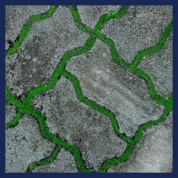 flagstone path in grass