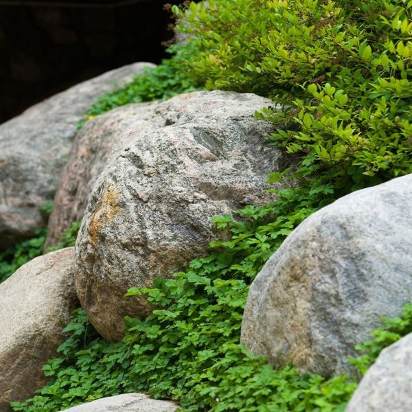 landscaping boulders