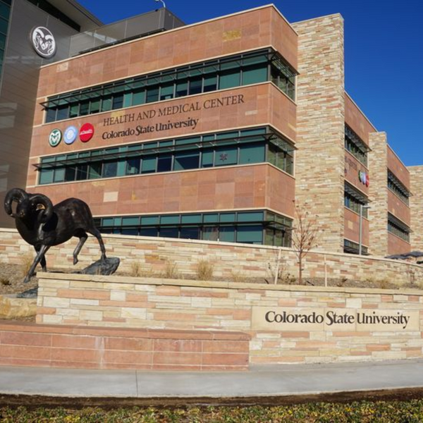 ledgestone on CSU Health and Medical Center