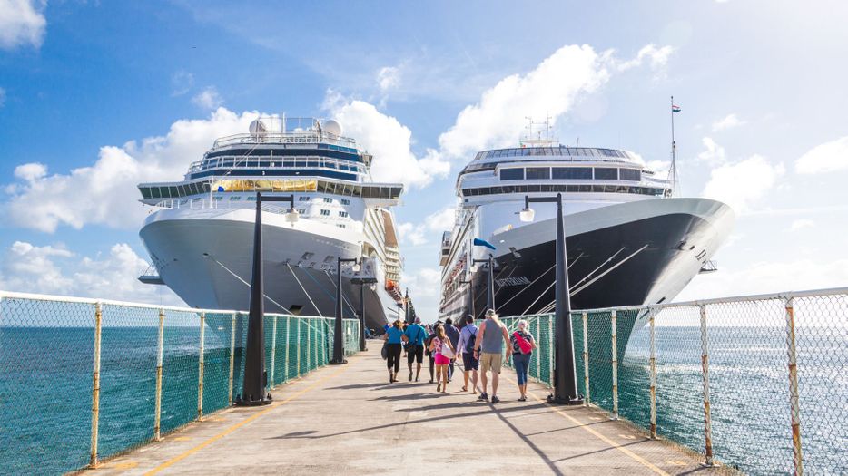 pair of docked cruse ships