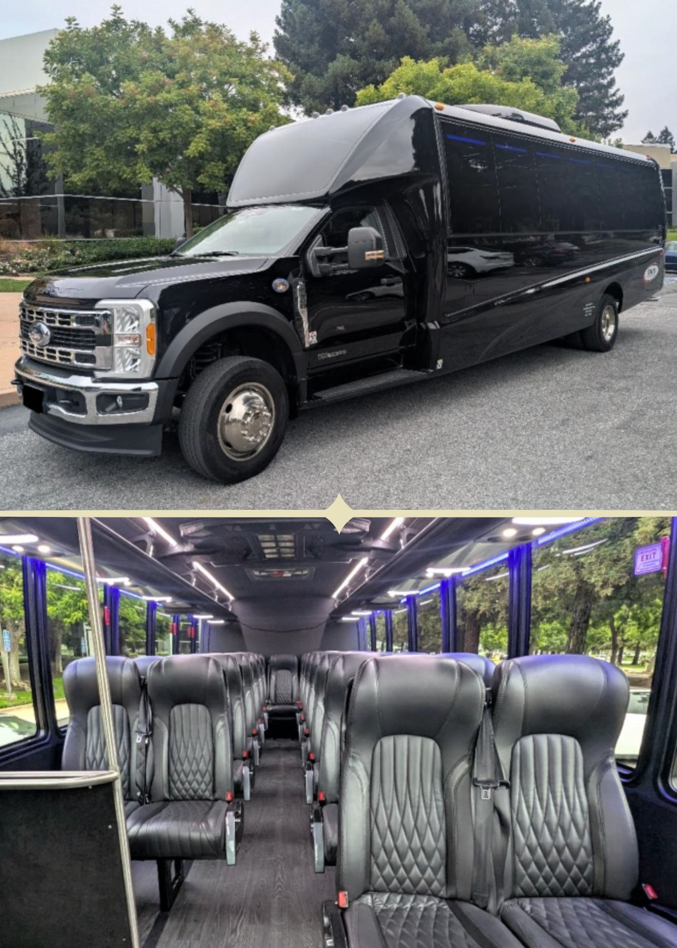 Executive Ford Bus - 28 Passengers.png