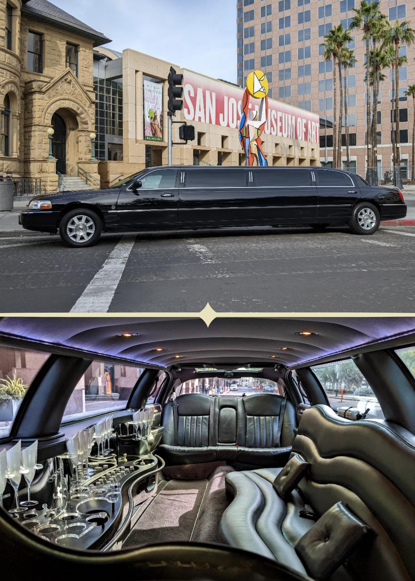 Limo Interior and Exterior (1).png