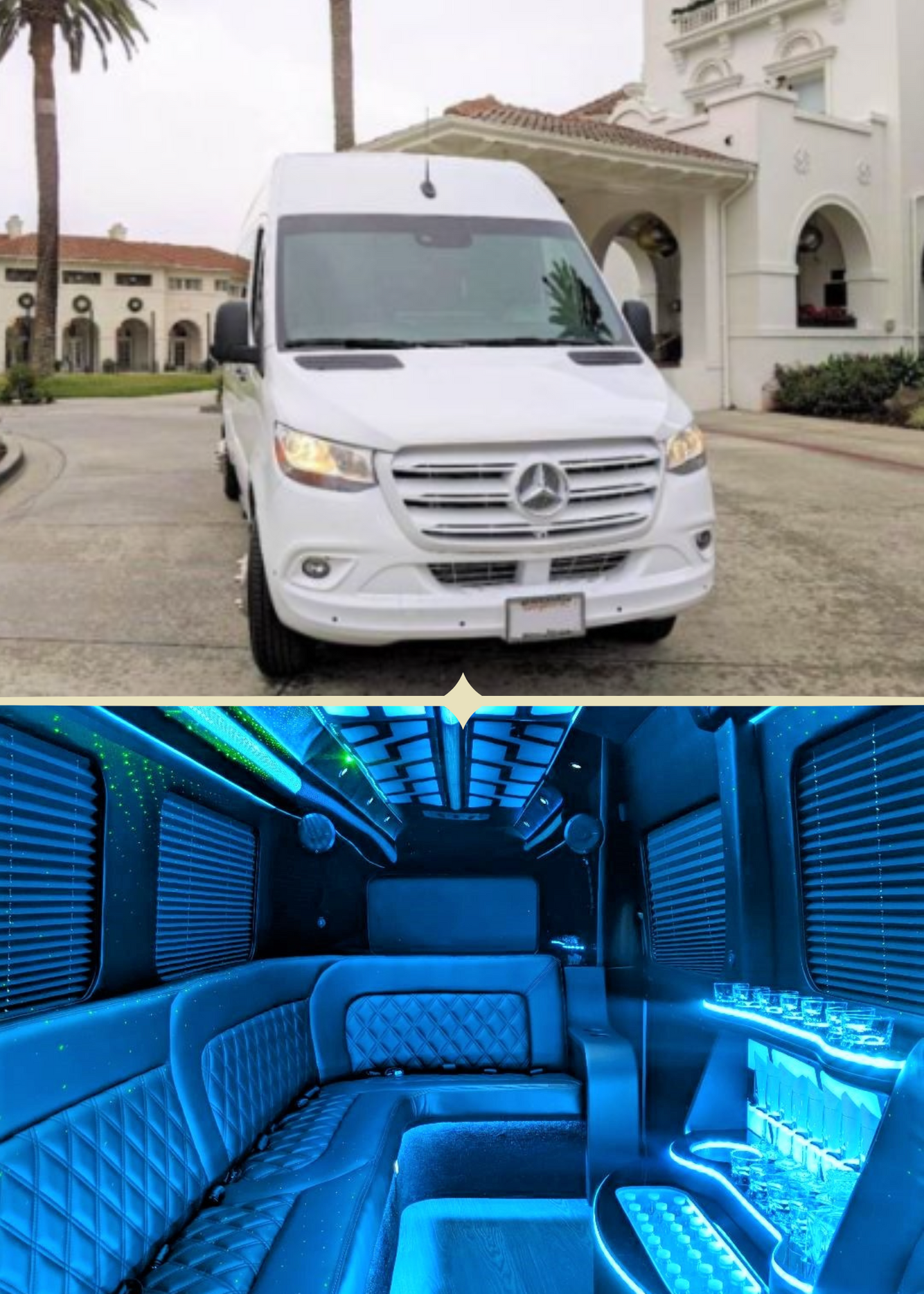 Party Bus- White Mercedes Sprinter.png
