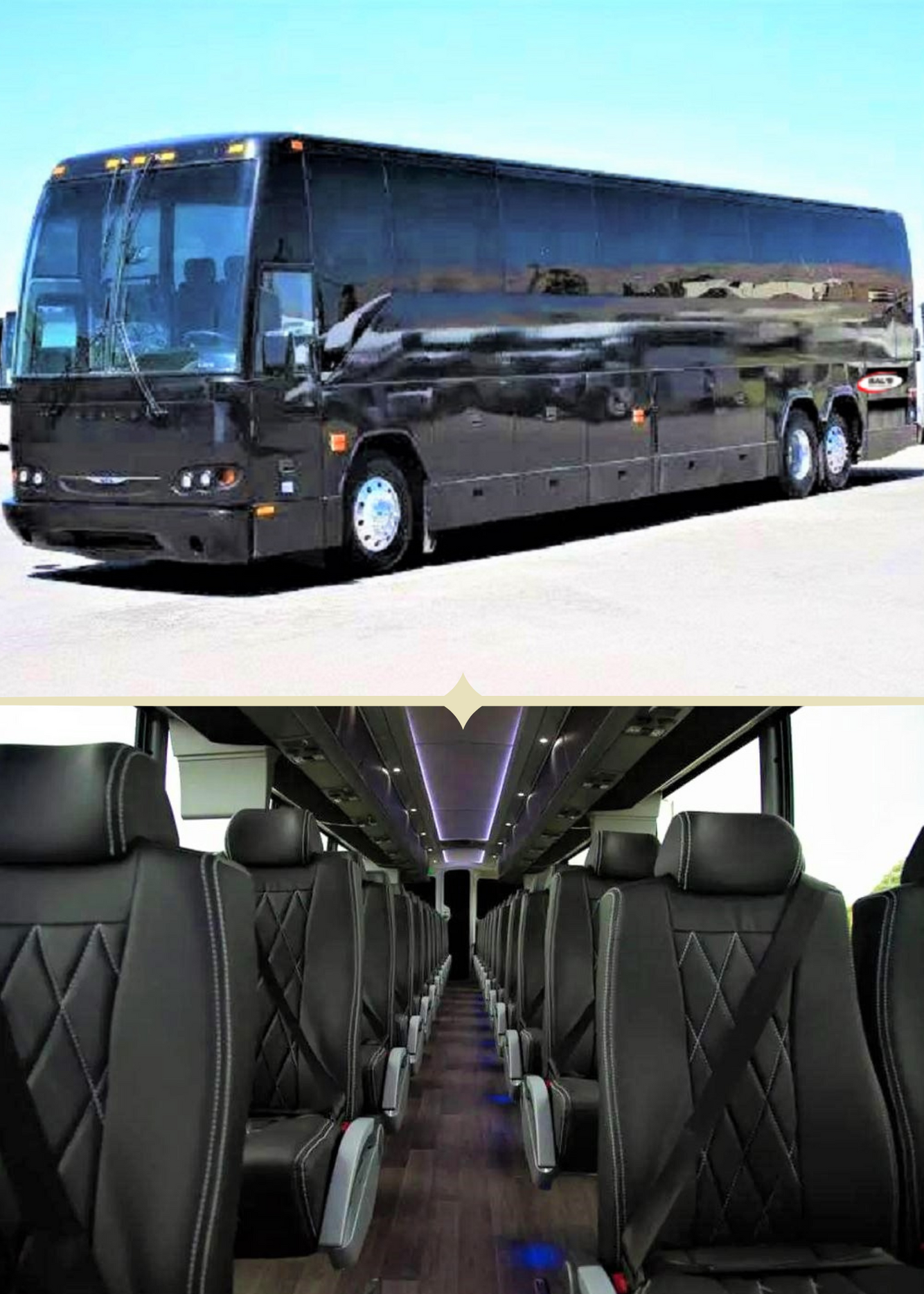 Coach Bus - 56 Passengers.png