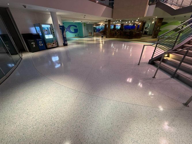 Georgia aquarium-After.jpeg