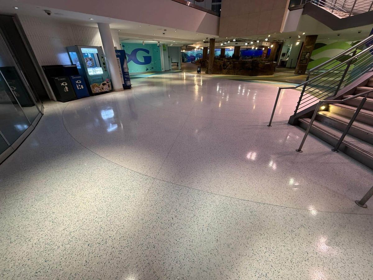 Georgia aquarium-After.jpeg