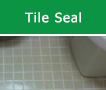 tn-tile-seal.png