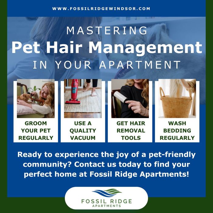 infographic that gives tips about eliminating pet hair