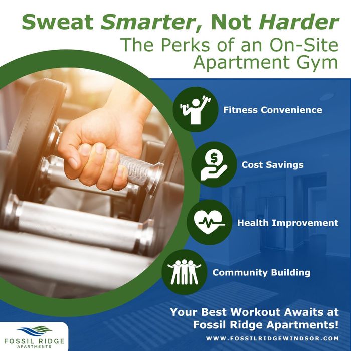 Infographic that lists the perks of an apartment gym Infographic that lists the perks of an apartment gym