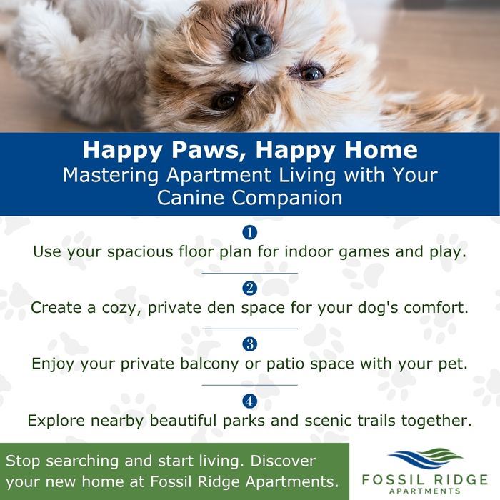 infographic that lists ways to keep your dog happy in an apartment infographic that lists ways to keep your dog happy in an apartment