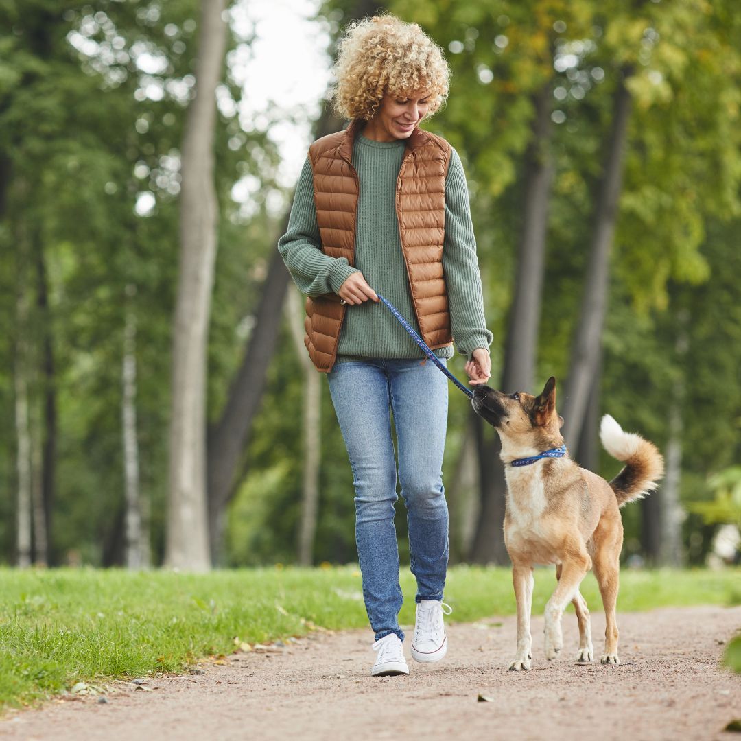 A lady walking a medium sized dog with trees in the background