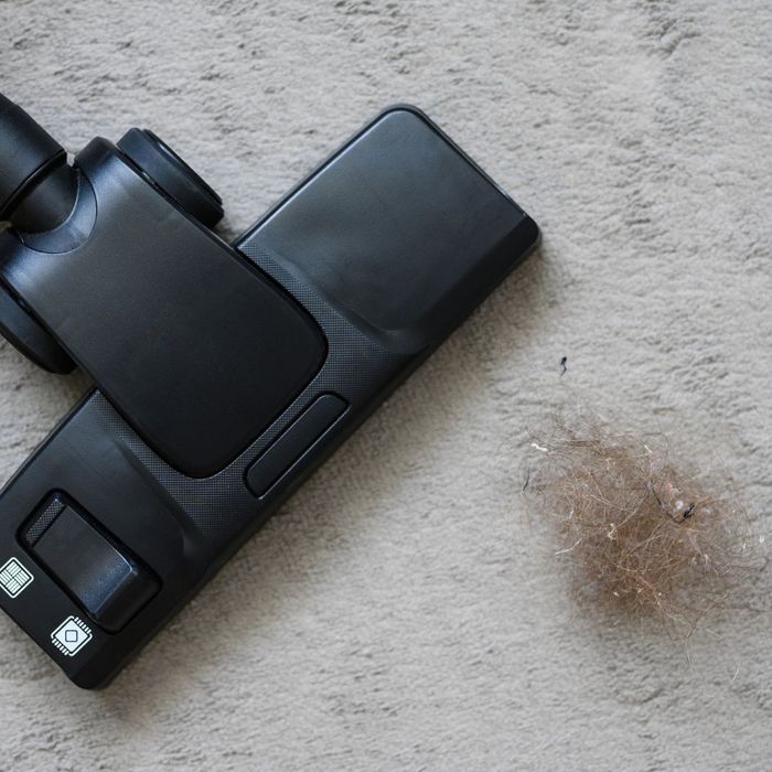 using a vacuum to sweep up hair