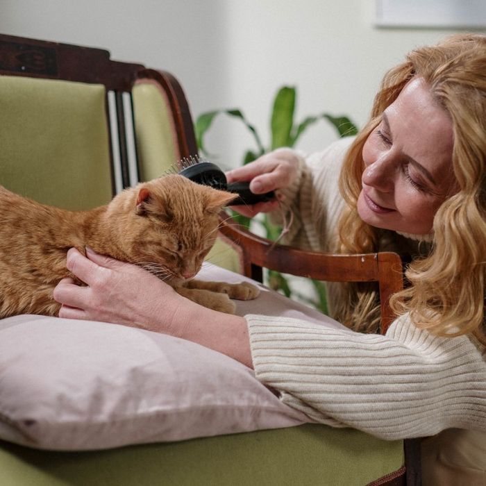 woman brushing her cat