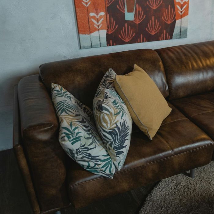 throw pillows on a couch