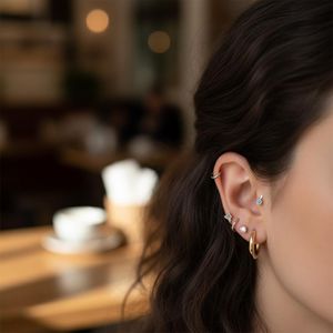 Ear Piercings/image_0.jpeg