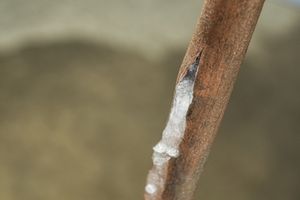 frozen pipe