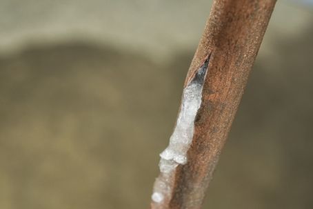 frozen pipe frozen pipe