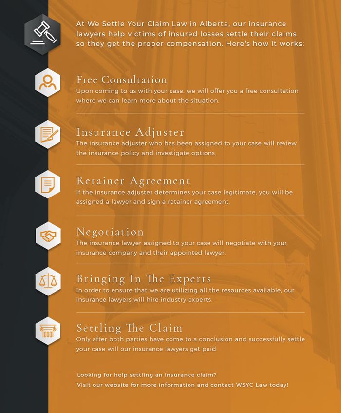 wsyc law infographic