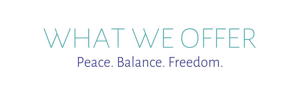 What we offer.png
