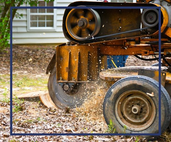 residential stump grinding 