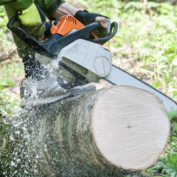 Littleton - Image 2.jpg