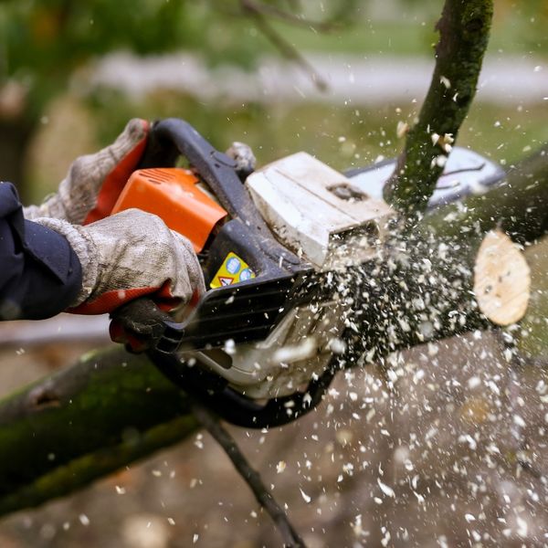 Lakewood - Image 2.jpg