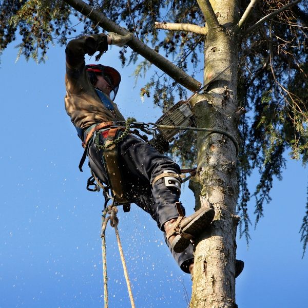 Lakewood - Image 4.jpg